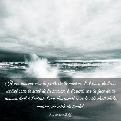 Picture 03 - Ézéchiel 47:1 LSG - Il me ramena vers la porte de la maison. Et - Bible Verse Picture