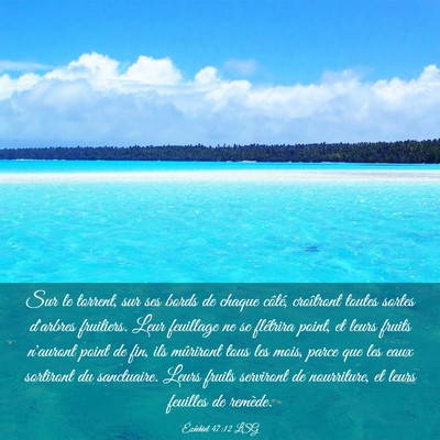 Picture 03 - Ézéchiel 47:12 LSG - Sur le torrent, sur ses bords de chaque côté, - Bible Verse Picture