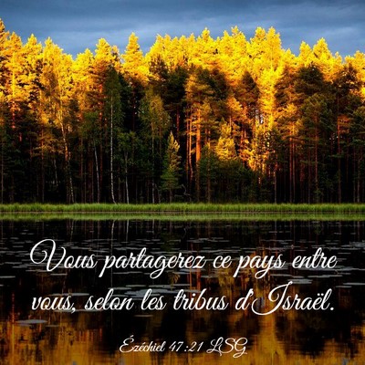 Picture 03 - Ézéchiel 47:21 LSG - Vous partagerez ce pays entre vous, selon les - Bible Verse Picture