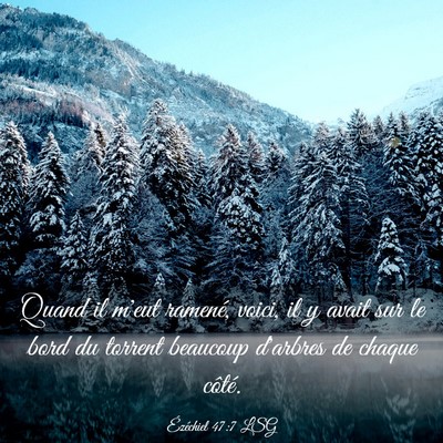 Picture 03 - Ézéchiel 47:7 LSG - Quand il m'eut ramené, voici, il y avait sur le - Bible Verse Picture