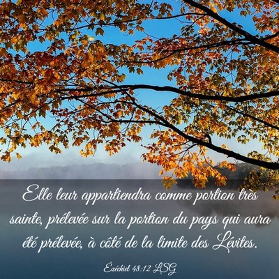 Picture 03 - Ézéchiel 48:12 LSG - Elle leur appartiendra comme portion très - Bible Verse Picture