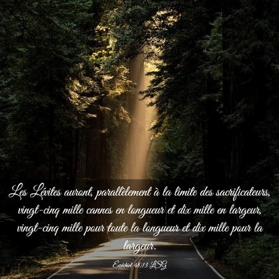 Picture 03 - Ézéchiel 48:13 LSG - Les Lévites auront, parallèlement à la limite - Bible Verse Picture