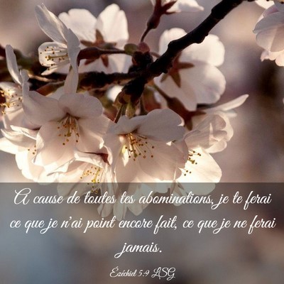 Picture 03 - Ézéchiel 5:9 LSG - A cause de toutes tes abominations, je te ferai - Bible Verse Picture