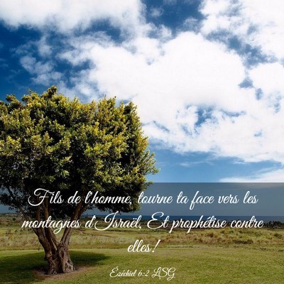 Picture 03 - Ézéchiel 6:2 LSG - Fils de l'homme, tourne ta face vers les - Bible Verse Picture