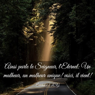 Picture 03 - Ézéchiel 7:5 LSG - Ainsi parle le Seigneur, l'Eternel: Un malheur, - Bible Verse Picture