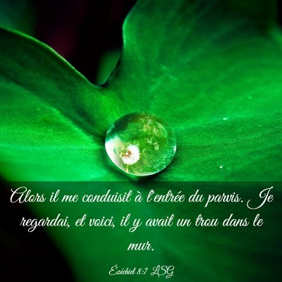 Picture 03 - Ézéchiel 8:7 LSG - Alors il me conduisit à l'entrée du parvis. Je - Bible Verse Picture