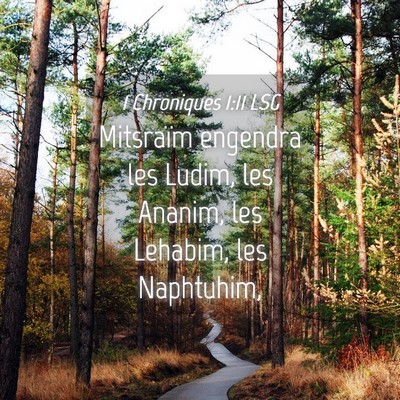 Picture 04 - 1 Chroniques 1:11 LSG - Mitsraïm engendra les Ludim, les Ananim, les - Bible Verse Picture