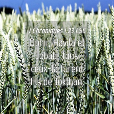 Picture 04 - 1 Chroniques 1:23 LSG - Ophir, Havila et Jobab. Tous ceux-là furent fils - Bible Verse Picture