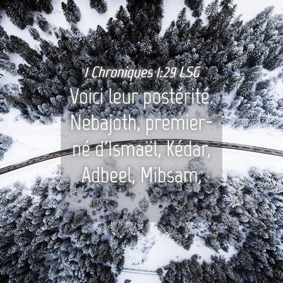 Picture 04 - 1 Chroniques 1:29 LSG - Voici leur postérité. Nebajoth, premier-né - Bible Verse Picture