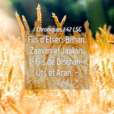 Picture 04 - 1 Chroniques 1:42 LSG - Fils d'Etser: Bilhan, Zaavan et Jaakan. -Fils de - Bible Verse Picture