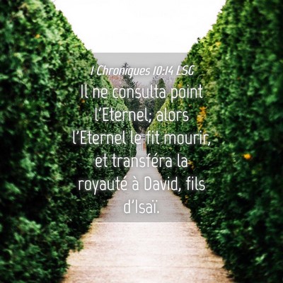 Picture 04 - 1 Chroniques 10:14 LSG - Il ne consulta point l'Eternel; alors l'Eternel - Bible Verse Picture