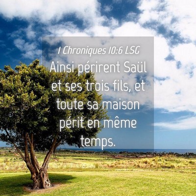 Picture 04 - 1 Chroniques 10:6 LSG - Ainsi périrent Saül et ses trois fils, et toute - Bible Verse Picture