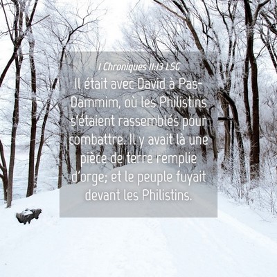 Picture 04 - 1 Chroniques 11:13 LSG - Il était avec David à Pas-Dammim, où les - Bible Verse Picture
