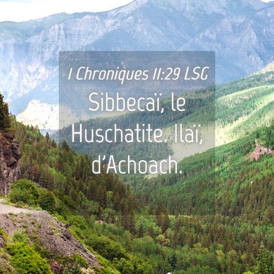 Picture 04 - 1 Chroniques 11:29 LSG - Sibbecaï, le Huschatite. Ilaï, - Bible Verse Picture