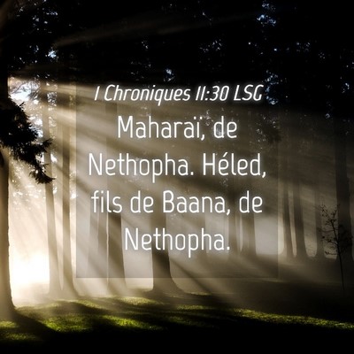 Picture 04 - 1 Chroniques 11:30 LSG - Maharaï, de Nethopha. Héled, fils de Baana, de - Bible Verse Picture