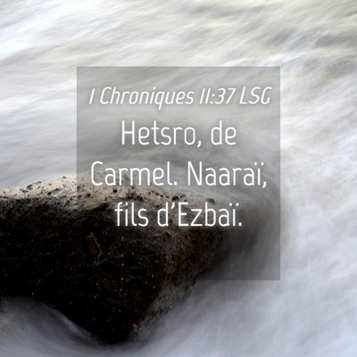 Picture 04 - 1 Chroniques 11:37 LSG - Hetsro, de Carmel. Naaraï, fils - Bible Verse Picture