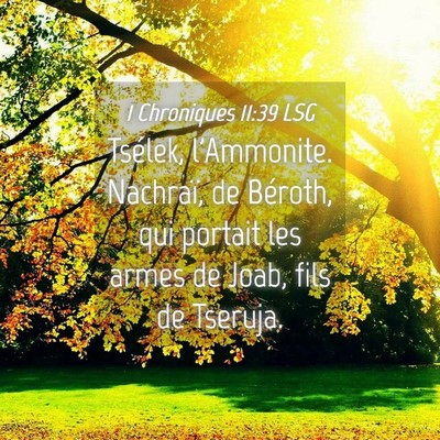 Picture 04 - 1 Chroniques 11:39 LSG - Tsélek, l'Ammonite. Nachraï, de Béroth, qui - Bible Verse Picture