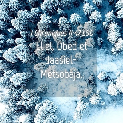 Picture 04 - 1 Chroniques 11:47 LSG - Eliel, Obed et - Bible Verse Picture