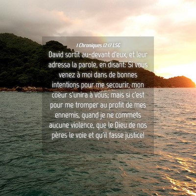Picture 04 - 1 Chroniques 12:17 LSG - David sortit au-devant d'eux, et leur adressa la - Bible Verse Picture