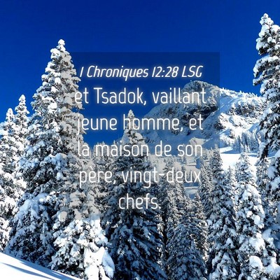Picture 04 - 1 Chroniques 12:28 LSG - et Tsadok, vaillant jeune homme, et la maison de - Bible Verse Picture