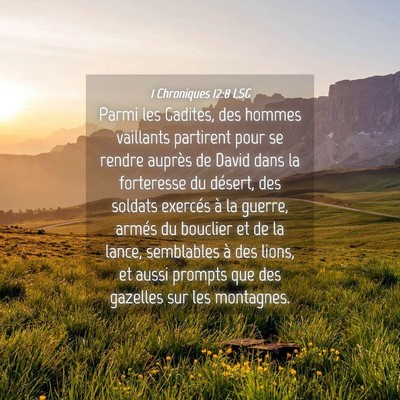 Picture 04 - 1 Chroniques 12:8 LSG - Parmi les Gadites, des hommes vaillants partirent - Bible Verse Picture