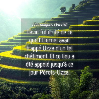 Picture 04 - 1 Chroniques 13:11 LSG - David fut irrité de ce que l'Eternel avait - Bible Verse Picture