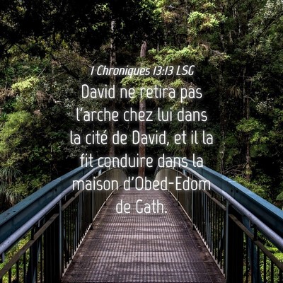 Picture 04 - 1 Chroniques 13:13 LSG - David ne retira pas l'arche chez lui dans la - Bible Verse Picture