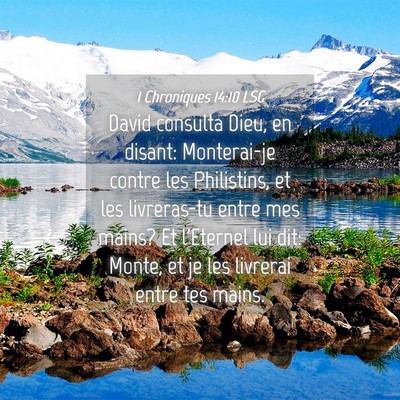 Picture 04 - 1 Chroniques 14:10 LSG - David consulta Dieu, en disant: Monterai-je - Bible Verse Picture