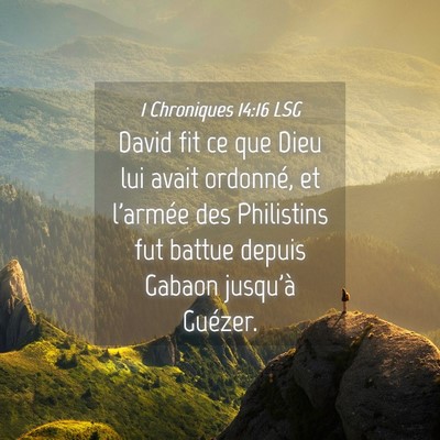 Picture 04 - 1 Chroniques 14:16 LSG - David fit ce que Dieu lui avait ordonné, et - Bible Verse Picture