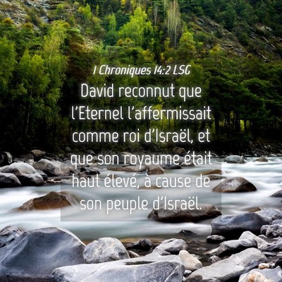 Picture 04 - 1 Chroniques 14:2 LSG - David reconnut que l'Eternel l'affermissait comme - Bible Verse Picture