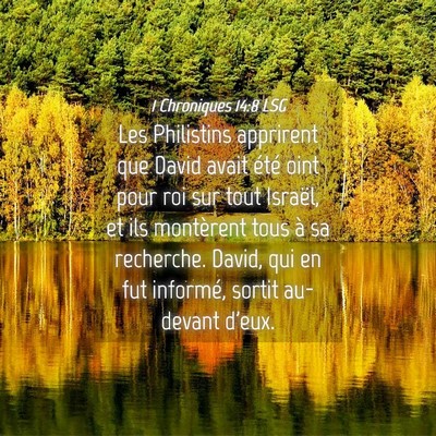 Picture 04 - 1 Chroniques 14:8 LSG - Les Philistins apprirent que David avait été - Bible Verse Picture