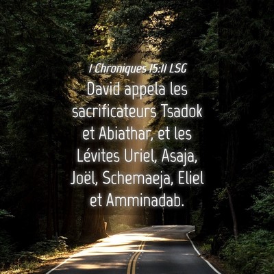 Picture 04 - 1 Chroniques 15:11 LSG - David appela les sacrificateurs Tsadok et - Bible Verse Picture