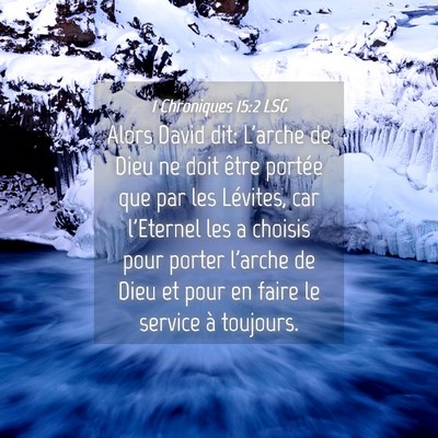 Picture 04 - 1 Chroniques 15:2 LSG - Alors David dit: L'arche de Dieu ne doit être - Bible Verse Picture