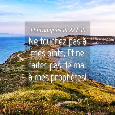 Picture 04 - 1 Chroniques 16:22 LSG - Ne touchez pas à mes oints, Et ne faites pas de - Bible Verse Picture