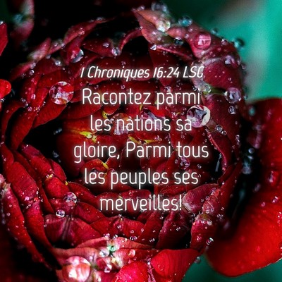 Picture 04 - 1 Chroniques 16:24 LSG - Racontez parmi les nations sa gloire, Parmi tous - Bible Verse Picture