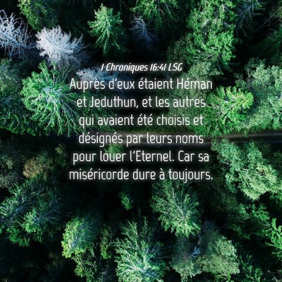Picture 04 - 1 Chroniques 16:41 LSG - Auprès d'eux étaient Héman et Jeduthun, et les - Bible Verse Picture