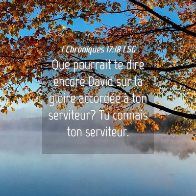 Picture 04 - 1 Chroniques 17:18 LSG - Que pourrait te dire encore David sur la gloire - Bible Verse Picture