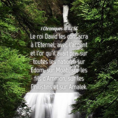 Picture 04 - 1 Chroniques 18:11 LSG - Le roi David les consacra à l'Eternel, avec - Bible Verse Picture