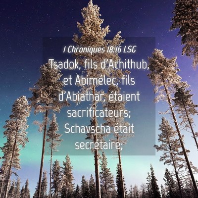 Picture 04 - 1 Chroniques 18:16 LSG - Tsadok, fils d'Achithub, et Abimélec, fils - Bible Verse Picture