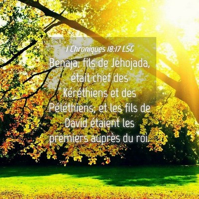 Picture 04 - 1 Chroniques 18:17 LSG - Benaja, fils de Jehojada, était chef des - Bible Verse Picture