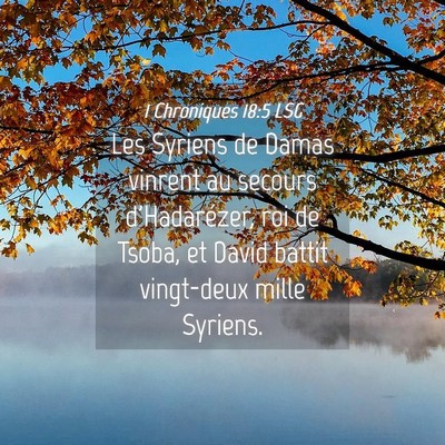 Picture 04 - 1 Chroniques 18:5 LSG - Les Syriens de Damas vinrent au secours - Bible Verse Picture