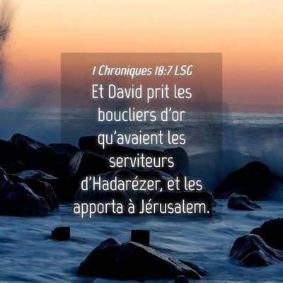 Picture 04 - 1 Chroniques 18:7 LSG - Et David prit les boucliers d'or qu'avaient les - Bible Verse Picture