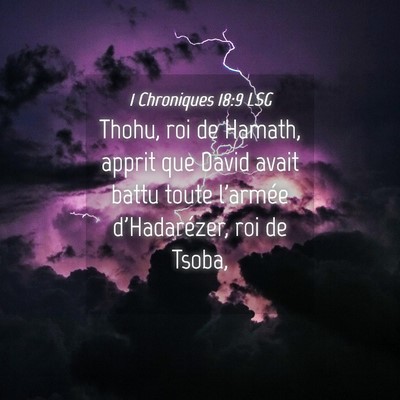 Picture 04 - 1 Chroniques 18:9 LSG - Thohu, roi de Hamath, apprit que David avait - Bible Verse Picture