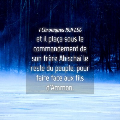 Picture 04 - 1 Chroniques 19:11 LSG - et il plaça sous le commandement de son frère - Bible Verse Picture