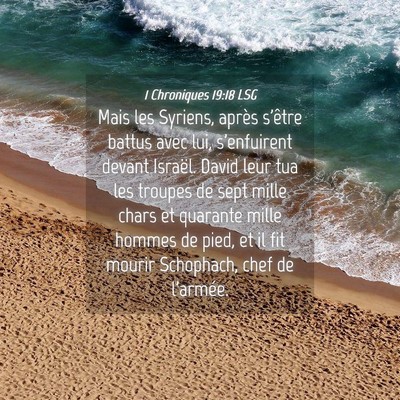 Picture 04 - 1 Chroniques 19:18 LSG - Mais les Syriens, après s'être battus avec lui, - Bible Verse Picture
