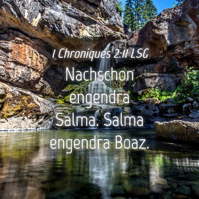 Picture 04 - 1 Chroniques 2:11 LSG - Nachschon engendra Salma. Salma engendra - Bible Verse Picture