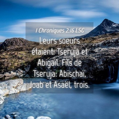 Picture 04 - 1 Chroniques 2:16 LSG - Leurs soeurs étaient: Tseruja et Abigaïl. Fils - Bible Verse Picture