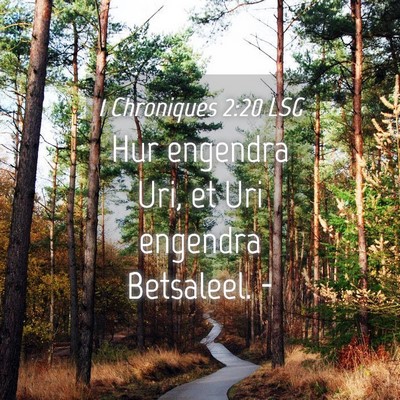 Picture 04 - 1 Chroniques 2:20 LSG - Hur engendra Uri, et Uri engendra Betsaleel. - Bible Verse Picture