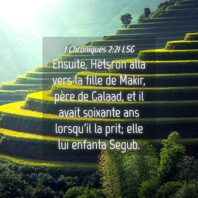Picture 04 - 1 Chroniques 2:21 LSG - Ensuite, Hetsron alla vers la fille de Makir, - Bible Verse Picture