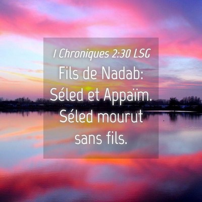 Picture 04 - 1 Chroniques 2:30 LSG - Fils de Nadab: Séled et Appaïm. Séled mourut - Bible Verse Picture